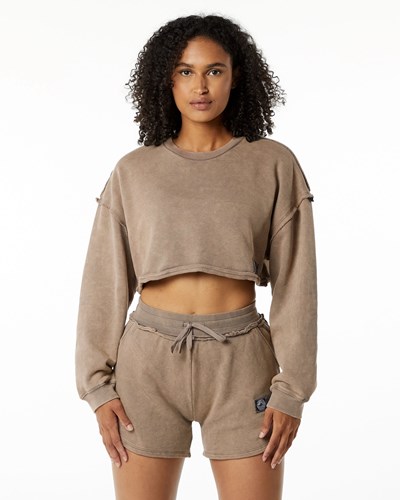 Alphalete Heavyweight Washed Terry Crop Pullover Smokey Quartz | HCADXZ781